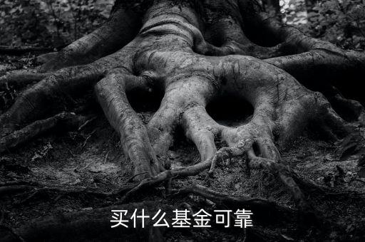 什么基金靠譜，哪些基金公司比較靠譜