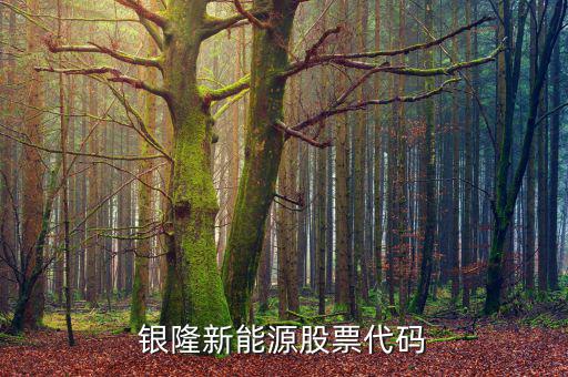 銀龍股份什么時(shí)候上市，銀隆新能源股票代碼