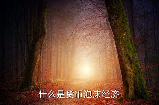 信貸泡沫是什么，什么是金融泡沫