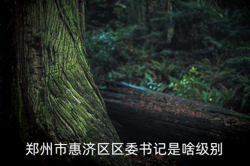 王洪章是什么級別，武警江西省總隊司令是什么級別