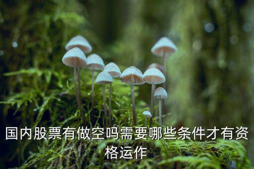 什么股票才可以做空，同花順里面有沒有可以做空的股票
