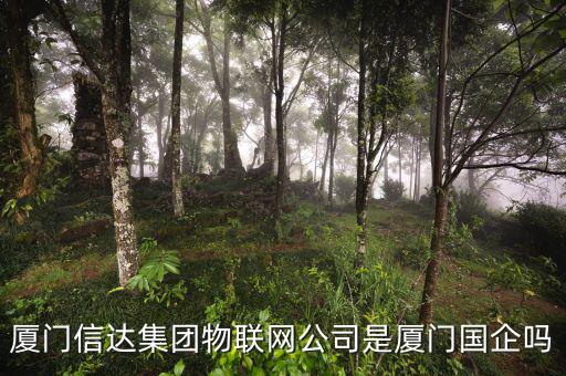 廈門信達集團物聯網公司是廈門國企嗎
