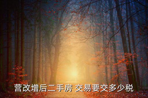 二手房營改增后買賣要上什么稅，營改增后二手房 交易要交多少稅