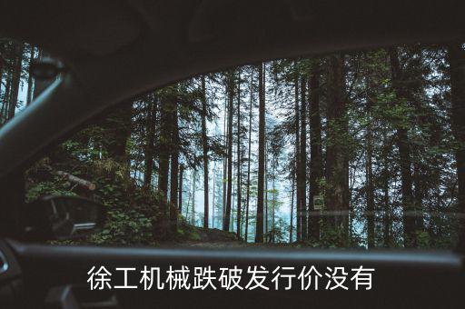 徐工機(jī)械什么時(shí)候復(fù)權(quán)，徐工機(jī)械何時(shí)復(fù)牌