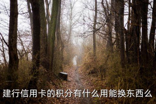 建行信用卡積分能兌換什么，請(qǐng)問下建行信用卡1萬多積分可以換什么