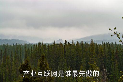 產業(yè)互聯網是什么龍頭，產業(yè)互聯網是誰最先做的