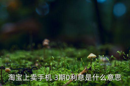 三零分期什么意思，淘寶上賣手機(jī) 3期0利息是什么意思
