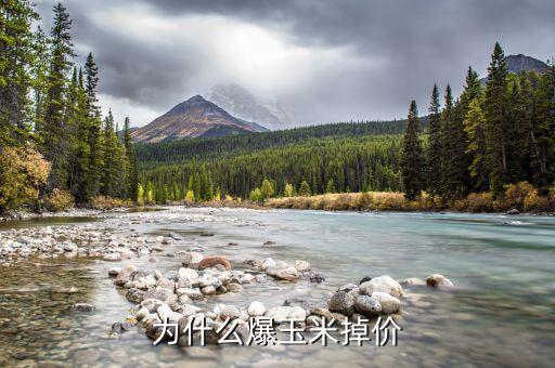 玉米價格為什么下跌，現(xiàn)在的玉米價格是多少為什么糧食價格下跌