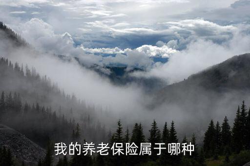 養(yǎng)老保險(xiǎn)屬于什么保險(xiǎn)，養(yǎng)老保險(xiǎn)屬于什么保險(xiǎn)
