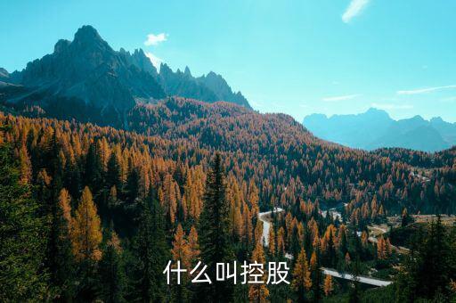什么是控股關(guān)系，什么叫控股