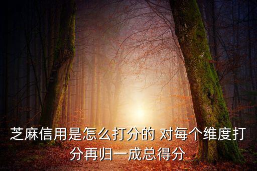 芝麻信用評(píng)分依據(jù)是什么，芝麻信用以什么依據(jù)評(píng)分