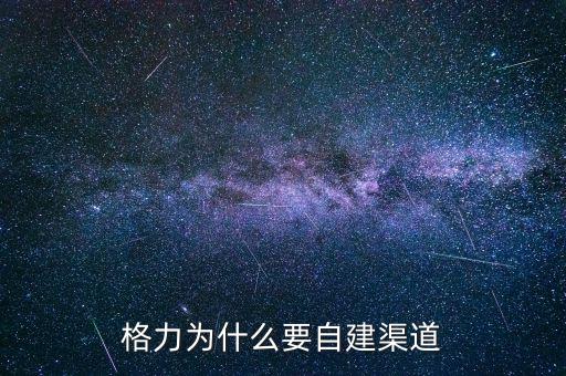 格力為什么自建渠道，格力與國美電器將來的合作的可能性如何請說明原因