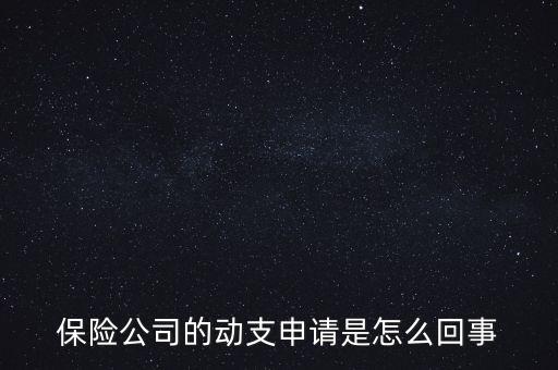 什么是動支申請，怎么樣支申請