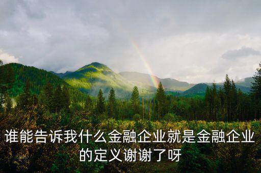 什么是金融企業(yè)，請(qǐng)問什么是金融企業(yè)呢或金融企業(yè)具體做什么負(fù)責(zé)什么啊