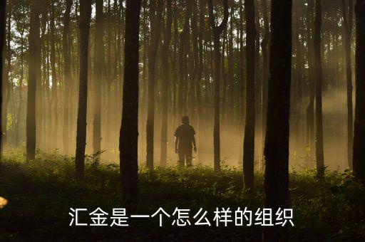 中央?yún)R金干什么的，匯金是一個(gè)怎么樣的組織