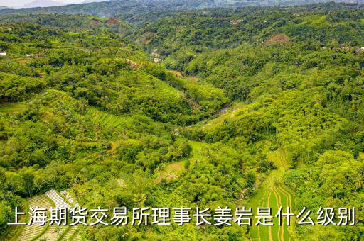 上交所理事長(zhǎng)什么級(jí)別，上海期貨交易所理事長(zhǎng)姜巖是什么級(jí)別