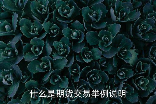 期權(quán)期貨是什么意思，期權(quán)與期貨是什么意思