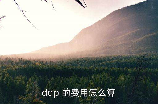 hmf是什么費用，請問DEMDDF是什么費用