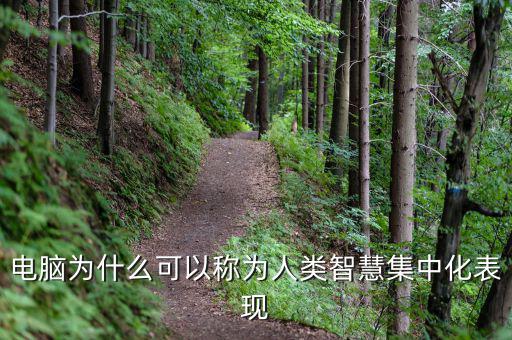 電腦為什么能夠做人工智能，電腦為什么可以稱為人類智慧集中化表現(xiàn)