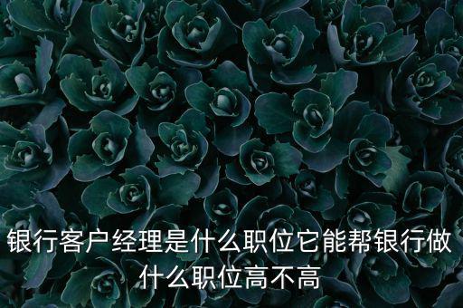 什么是銀行直銷(xiāo)客戶經(jīng)理，銀行客戶經(jīng)理是什么職位它能幫銀行做什么職位高不高