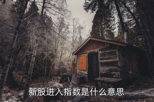 新指數(shù)是什么意思，新訂單指數(shù)是什么意思