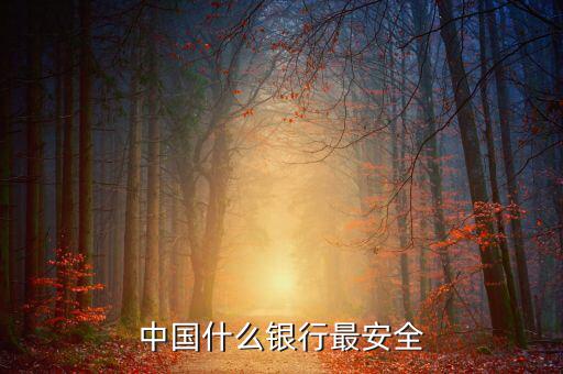 什么銀行安全，世界上什么銀行最安全