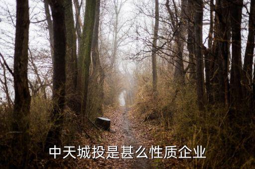中天城投是什么概念，中天城投在這么些年的發(fā)展中涉及了哪些行業(yè)