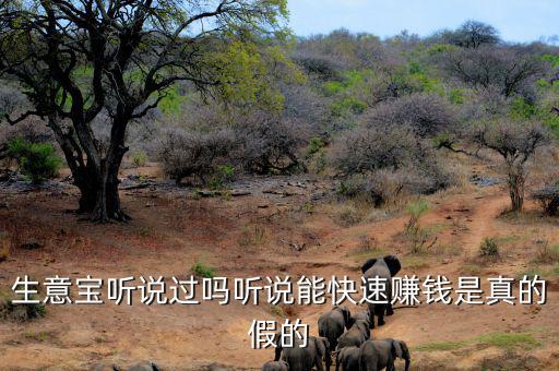 生意寶聽(tīng)說(shuō)過(guò)嗎聽(tīng)說(shuō)能快速賺錢(qián)是真的假的