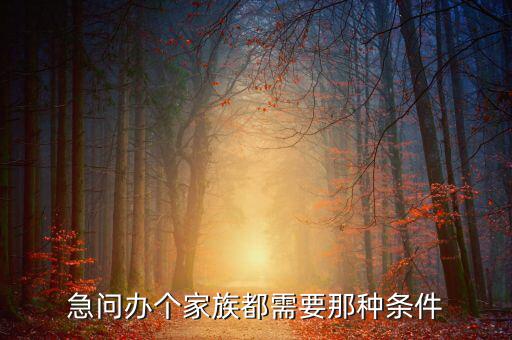 注冊(cè)家族辦公室需要什么資質(zhì)，急問(wèn)辦個(gè)家族都需要那種條件