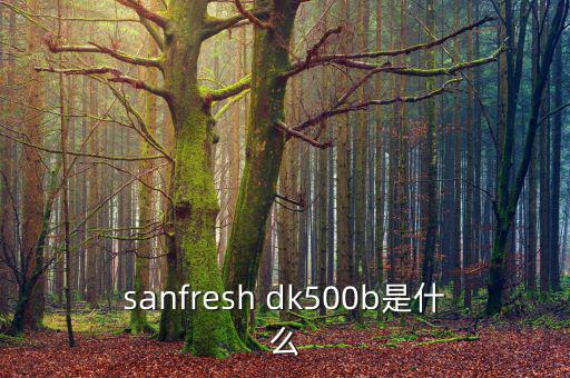 金鷹500b是什么，EOS 500B 是什么Rin的樂器