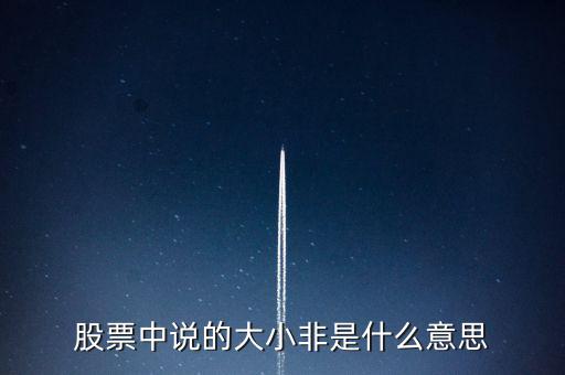 股市大小非是什么意思，股市中的大小非是指什么