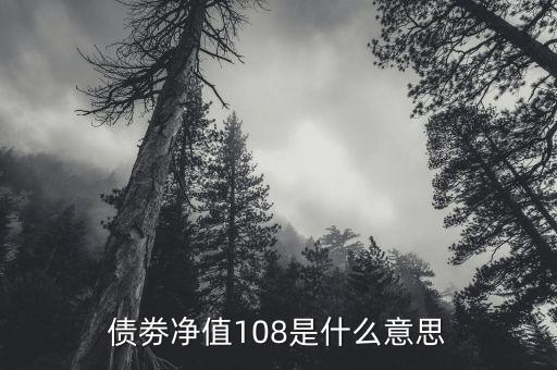 債券凈值是什么意思，債劵凈值108是什么意思