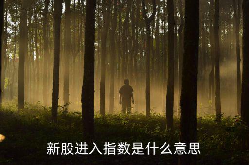 新股進入指數(shù)是什么意思