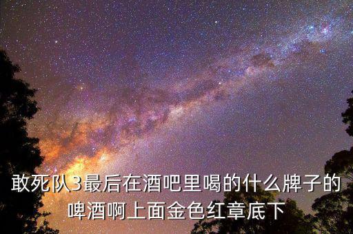 敢死隊(duì)3喝的什么啤酒，敢死隊(duì)3酒吧里吃的這是什么