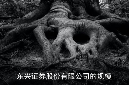 東興證券為什么是龍頭，東興證券這家證券公司怎么樣