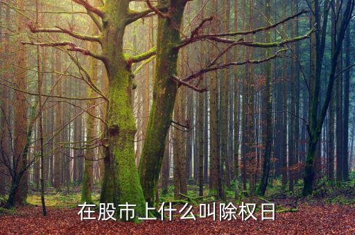 什么叫股票除權日，什么是股票除權息的登記日