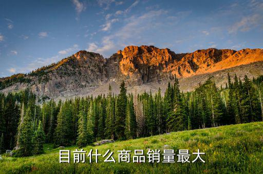 什么消費(fèi)品最大市場，目前什么商品銷量最大
