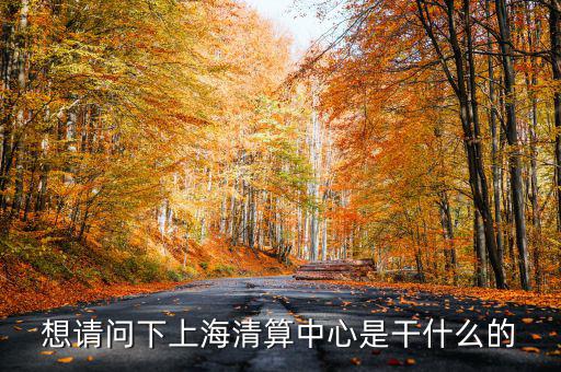 上海清算所做什么，想請問下上海清算中心是干什么的