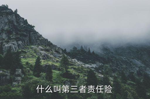 什么叫第三者責(zé)任險(xiǎn)，什么叫第三者責(zé)任險(xiǎn)