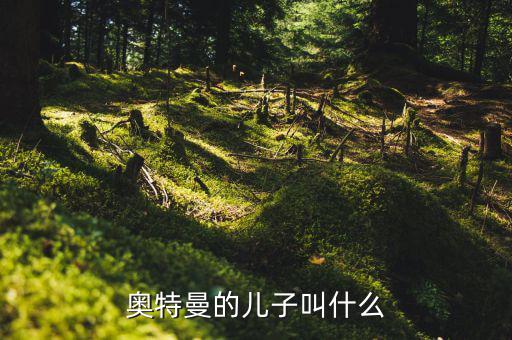 奧特佳老總兒子叫什么，奧特曼的兒子叫什么