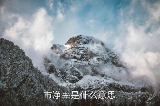 市凈率是什么意思舉例說明，什么是市凈率