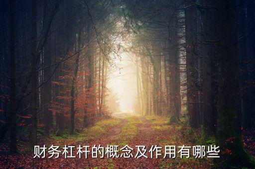 財(cái)務(wù)杠桿的概念及作用有哪些