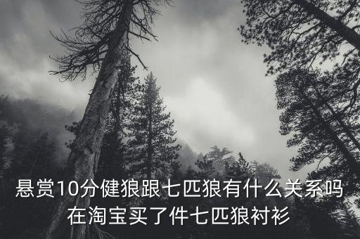 前海再保險(xiǎn)與七匹狼什么關(guān)系，懸賞10分健狼跟七匹狼有什么關(guān)系嗎在淘寶買了件七匹狼襯衫