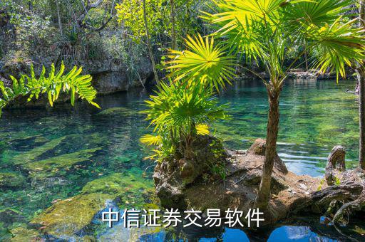 中信證券的交易軟件是什么，中信證券用什么軟件的