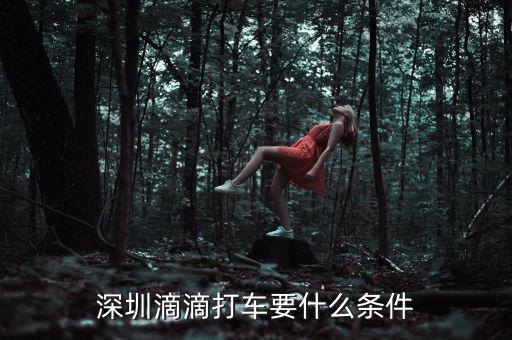 深圳交通滴滴有什么政策，申請(qǐng)深圳滴滴對(duì)司機(jī)有些什么要求嗎