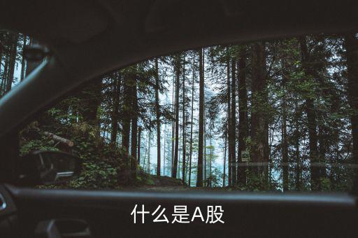 什么是a股和b股，什么是A股