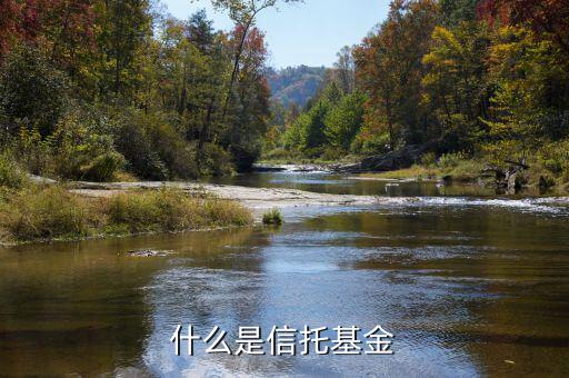 信托基金是什么，信托是什么