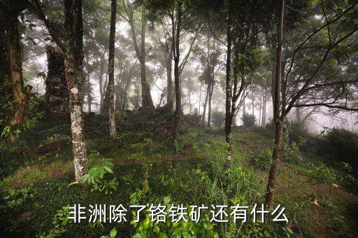 非洲有什么礦產(chǎn)資源，非洲哪些礦產(chǎn)豐富