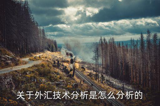 什么是外匯技術(shù)分析，外匯基礎(chǔ)分析和技術(shù)分析的區(qū)別是什么