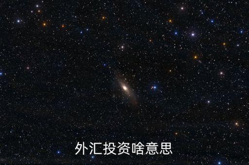 外匯融資是什么意思，外匯投資啥意思